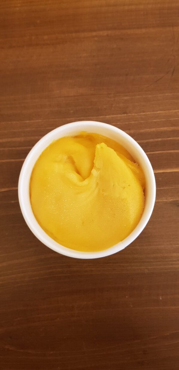 Sorbet mangue passion